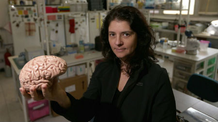 Beyin niyə bizdə inkişaf edib, meymunlarda yox?/ MANERA.AZ