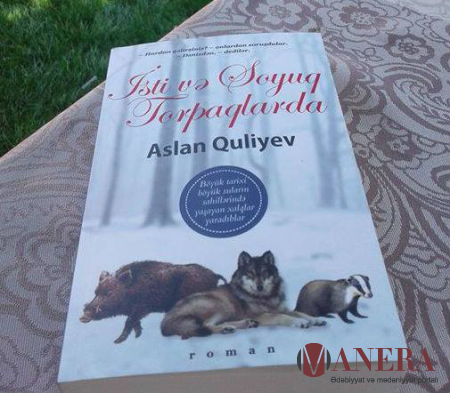  "Romanda qadınlar hökmrandırlar" -Oxucu rəyi