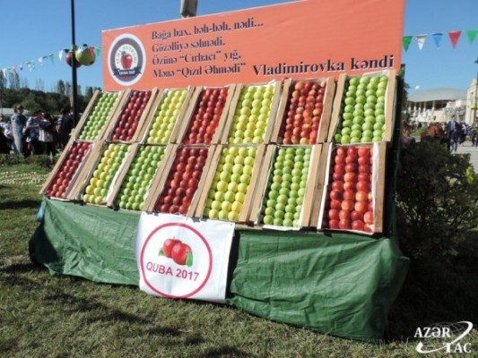 Qubada “Alma bayramı” və Xalça festivalı keçirilib