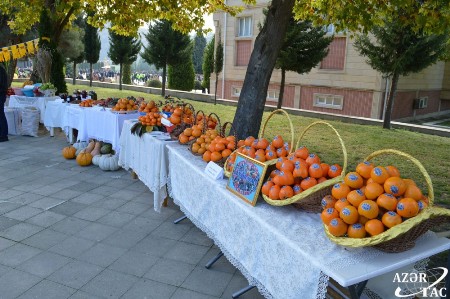 Balakəndə ilk dəfə “Beynəlxalq xurma festivalı”