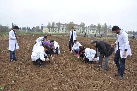 Lənkəran Dövlət Universiteti ilkə imza atdı Lənkəran Dövlət Universiteti ilkə imza atdı