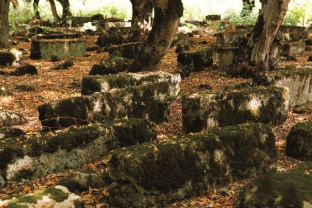 Azərbaycan etnosları: Nic kəndinin udinləri