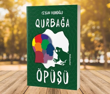 Ceylan Mumoğlunun səssiz hekayələri - Taleh Eminoğlu yazır