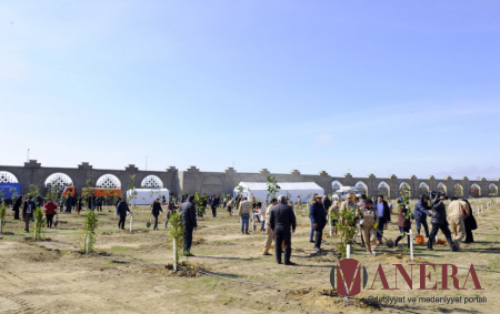 Media nümayəndələri bağ saldılar - "Yaşıl qələm"