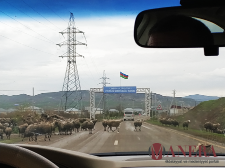 Cocuq Mərcanlının Novruz həyəcanı - REPORTAJ