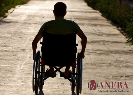 Şəhla Aslan: "Budanmış arzular"