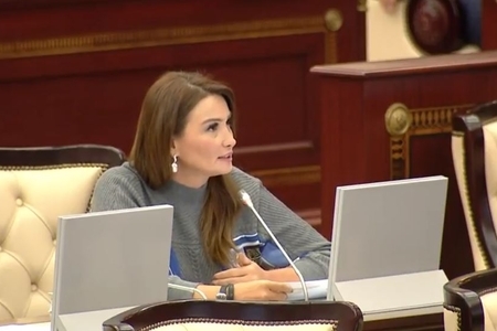 "Əhməd bəy Ağaoğlunun heykəli ucaldılsın" - Millət vəkilindən təklif