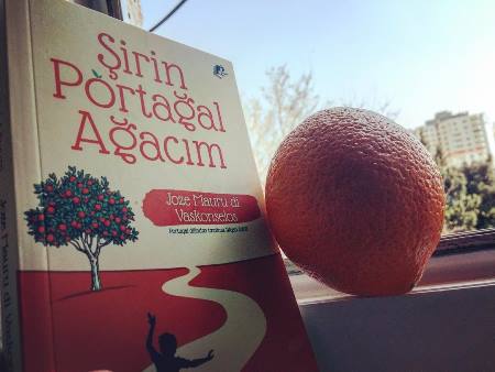 Jose Vaskonselosun uşaqlığı və ya “Şirin portağal ağacım” əsəri