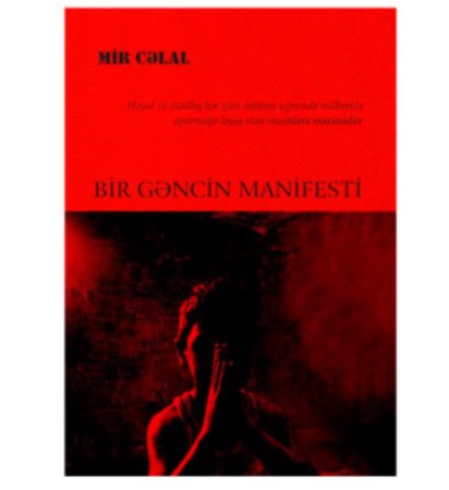 İki əsər, bir tale - Ramiz Qasımov yazır...