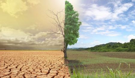 Hər iki üzü yalan dünya... - NOVELLA Hər iki üzü yalan dünya... - NOVELLA