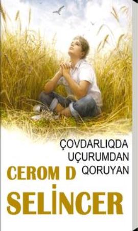 Selincerin məşhur romanı haqqında 14 maraqlı fakt Selincerin məşhur romanı haqqında 14 maraqlı fakt