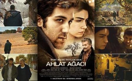 “Əhlət ağacı”ndan nə dərə bilərik?