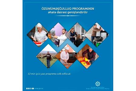 12 min işsiz özünüməşğulluq proqramına cəlb ediləcək