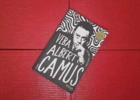 Taun, yoxsa macəra Taun, yoxsa macəra