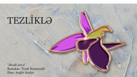 Şəhidlərə ithaf olunmuş musiqi kompozisiyası - VİDEO