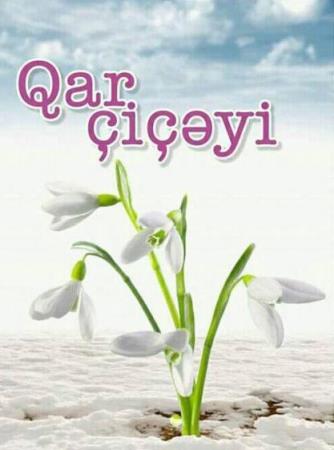 Qar çiçəyi - HEKAYƏ / Manera.Az Qar çiçəyi - HEKAYƏ / Manera.Az