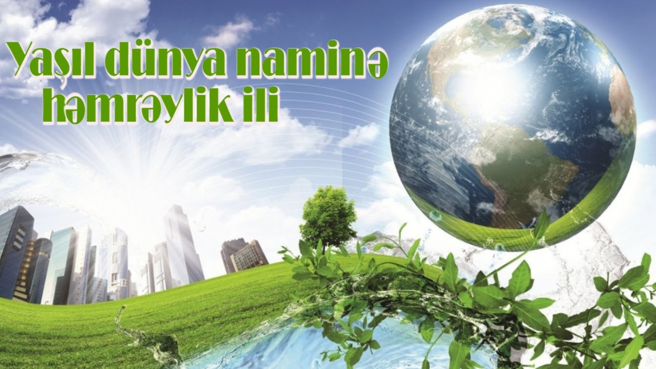 Ekoloji tənqid: yaşılı öyrətmək - Qismət yazır Ekoloji tənqid: yaşılı öyrətmək - Qismət yazır