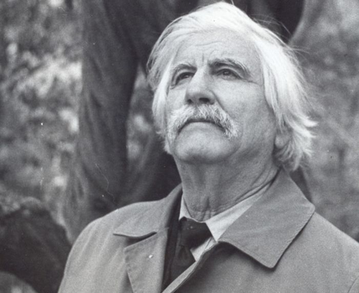 Bir dağı örtün üstümə - Fikrət Sadığın şeirləri