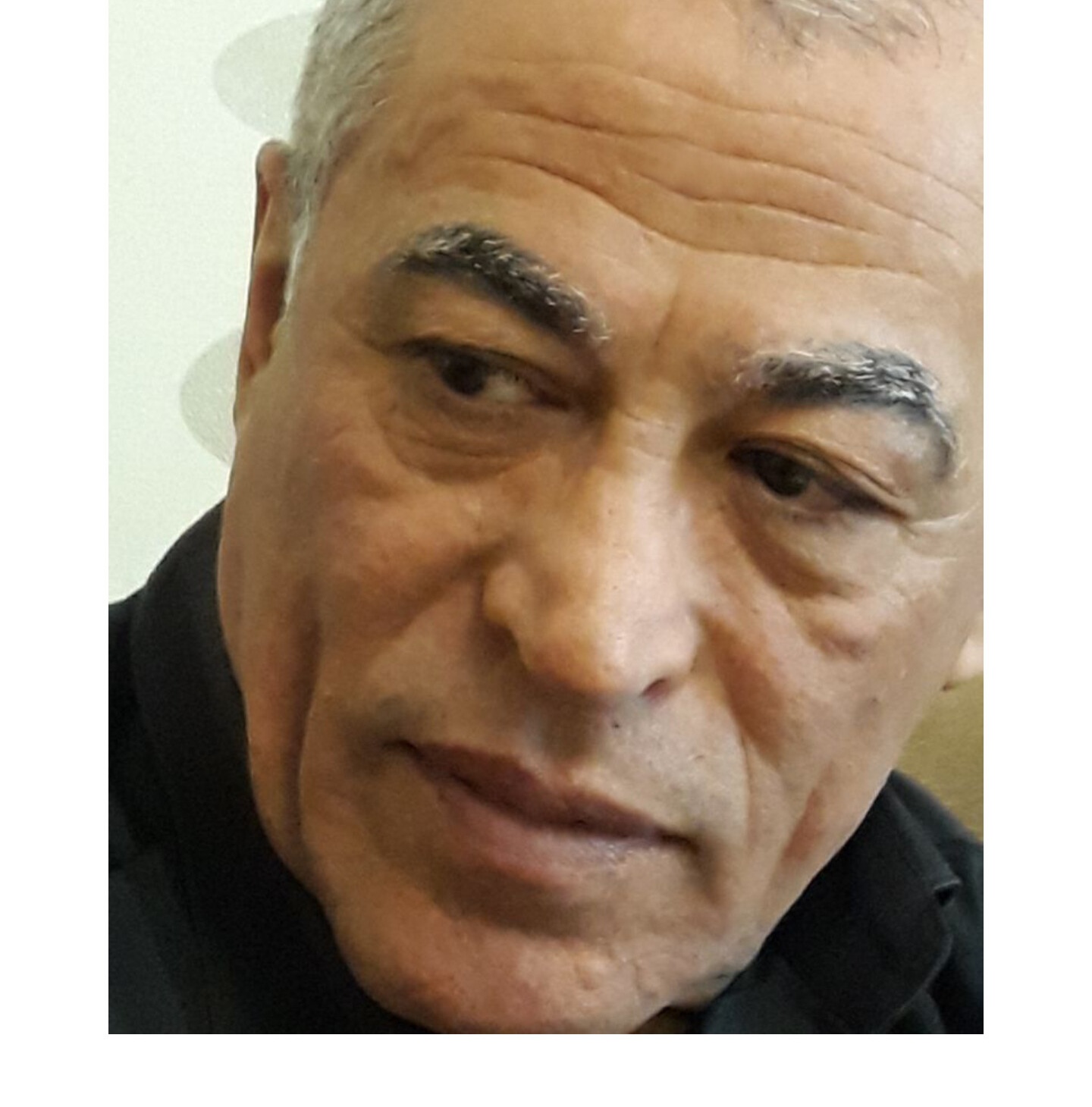 Durnalar cənuba uçur - Romandan parça