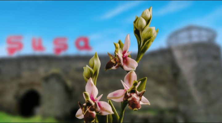 Azərbaycan - Cavid Fərzəlinin şeiri